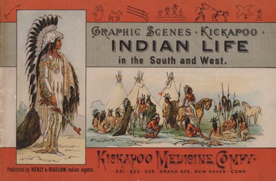 Nativos americanos de American School