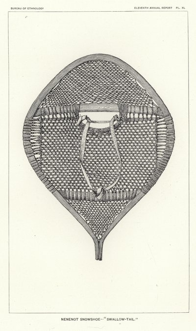 Raqueta de nieve Nenenot - Cola de golondrina de American School