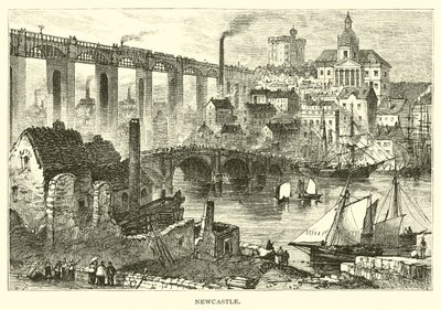 Newcastle de American School