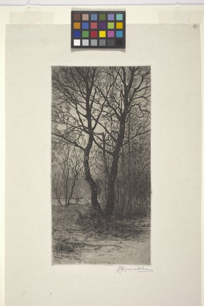 Jardín del palacio de Nymphenburg, cerca de Múnich (aguafuerte) de American School
