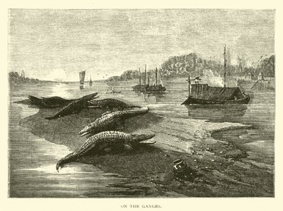 En el Ganges de American School
