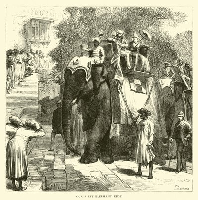 Nuestro primer paseo en elefante de American School