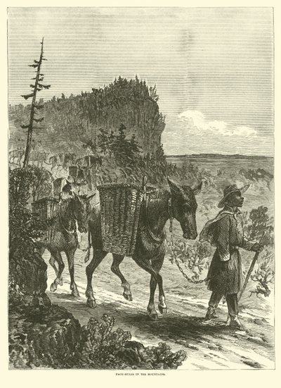 Mulas de carga en las montañas, febrero de 1863 de American School