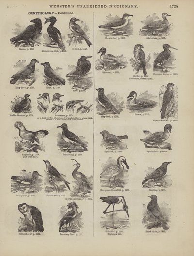 Página del Diccionario Completo de Webster (George Bell) de American School