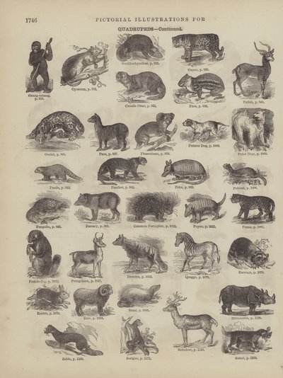 Página del Diccionario Completo de Webster (George Bell) de American School