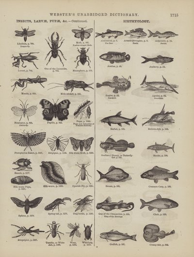 Página del Diccionario Completo de Webster (George Bell) de American School
