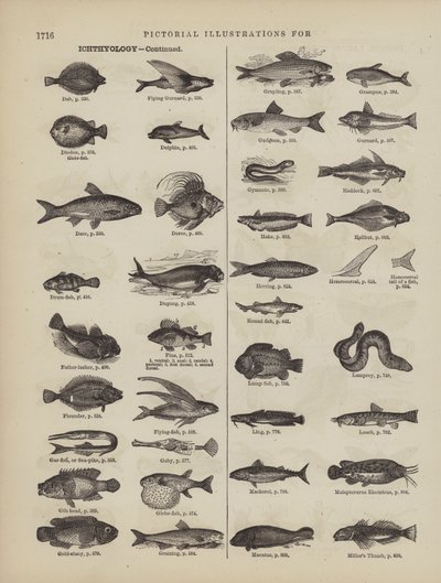 Página del Diccionario Completo de Webster (George Bell) de American School