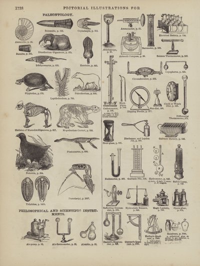 Página del Diccionario Completo de Webster (George Bell) de American School