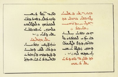 Página de una Biblia Siria de American School