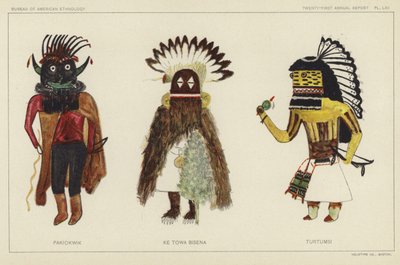 Pakiokwik, Ke Towa Bisena, Turtumsi (litografía en color) de American School