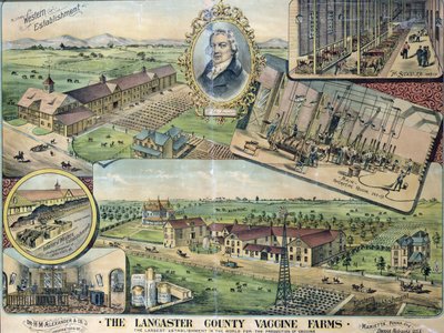 Plano de las granjas de vacunas del condado de Lancaster, Nebraska de American School