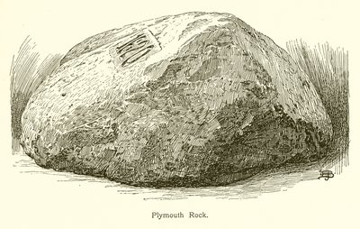 Plymouth Rock de American School