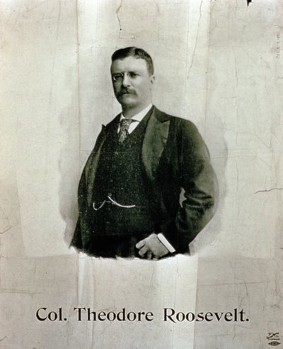 Retrato del Coronel Theodore Roosevelt de American School