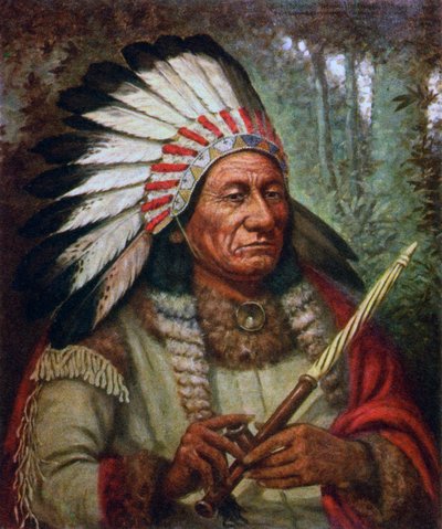 Retrato de Toro Sentado de American School