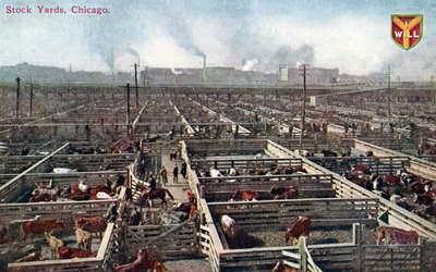Postal que representa los corrales y mataderos en Chicago, c.1910 de American School