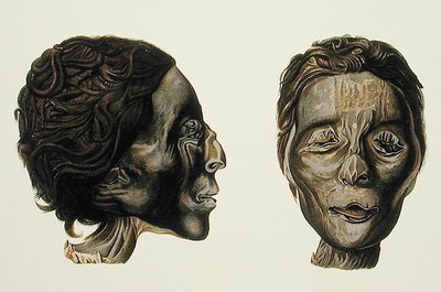 Perfil y rostro de una momia femenina de Gizeh, Volumen II, lámina XXVII de 