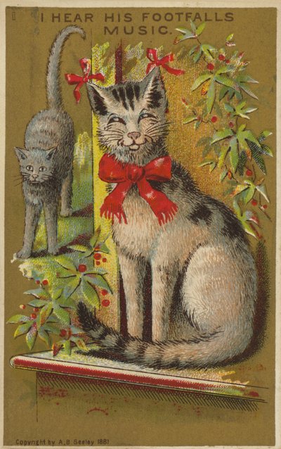 Gato Orgulloso y Sonriente de American School