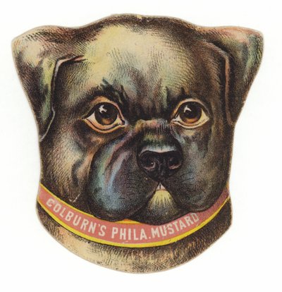 Cabeza de perro pug de American School