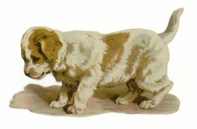 Cachorro de pie de American School