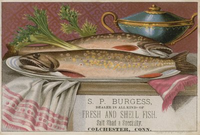 S P Burgess, tarjeta comercial de American School