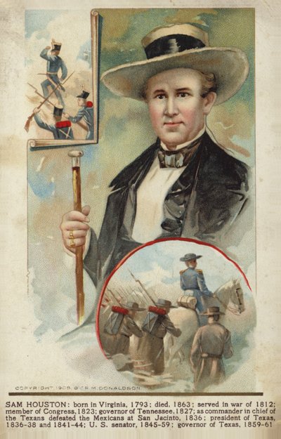 Sam Houston de American School