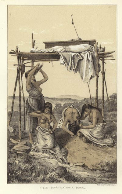 Escarificación en el entierro de American School