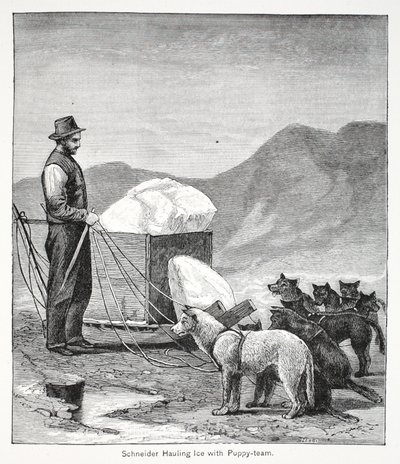 Schneider transportando hielo con el equipo de cachorros, pub. Londres 1886 de American School