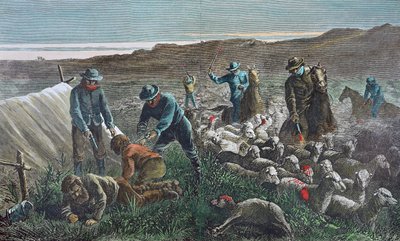 Matanza de ovejas durante la Guerra de Pleasant Valley, Arizona de American School