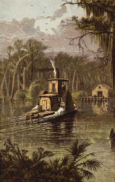 Silver Spring, Florida de American School