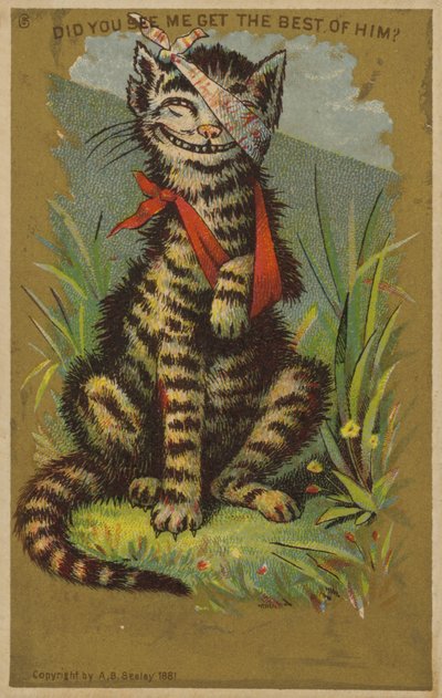 Gato Sonriente con Heridas de American School