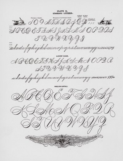 Letras estándar; Mano de dama; Mayúsculas de brazo completo de American School
