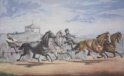 Stella y Alice Grey - Linterna y Ballena, Pasando el Stand (En su gran carrera en Doble Arnés sobre el Union Course L.I. 5 de junio de 1855) de American School