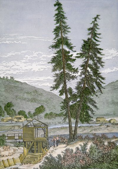 Molino de Sutter de American School