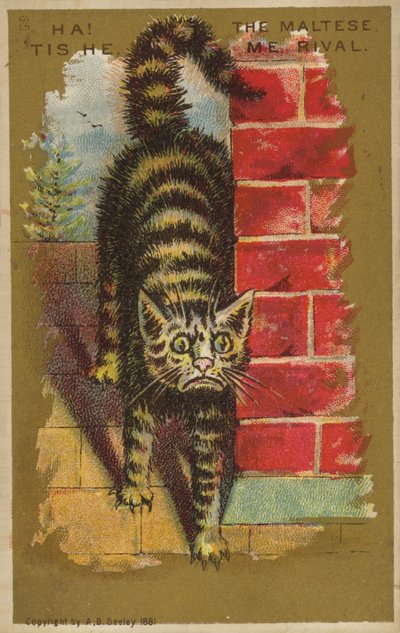 Gato Aterrorizado de American School