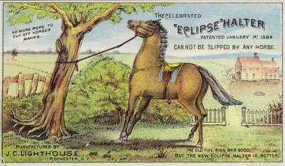 Caballo Atado de American School