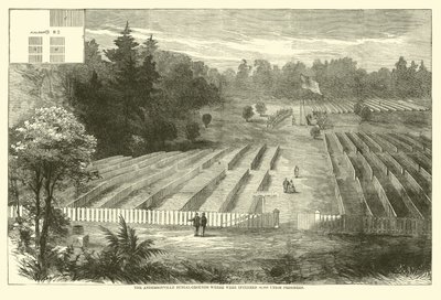 Los cementerios de Andersonville donde fueron enterrados 14,000 prisioneros de la Unión, mayo 1865 de American School