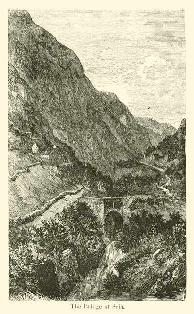 El Puente en Scia de American School