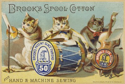 La banda de gatos de American School
