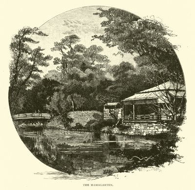 El Hamagarten de American School
