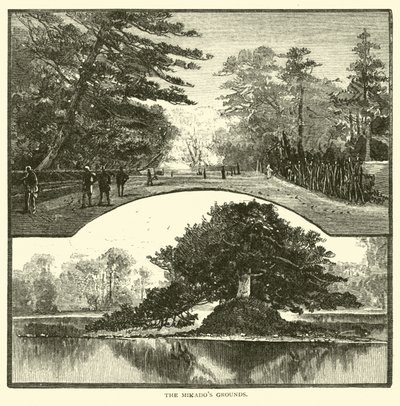 Los terrenos del Mikado de American School
