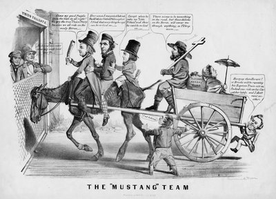El equipo Mustang de American School