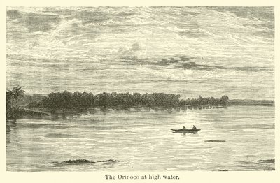 El Orinoco en crecida de American School