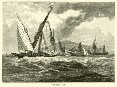 El Mar Rojo de American School