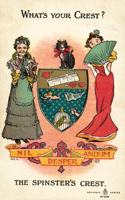 El escudo de las solteronas, Nil Desperandum de American School
