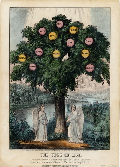 El Árbol de la Vida de American School