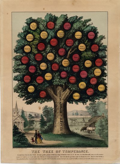 El Árbol de la Templanza de American School