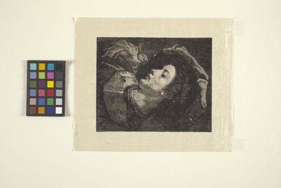 El joven terrateniente (grabado en madera) de American School