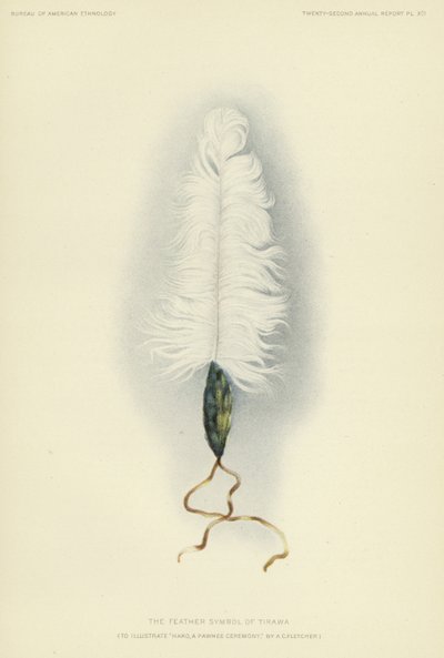 El símbolo de la pluma de Tirawa (litografía en color) de American School