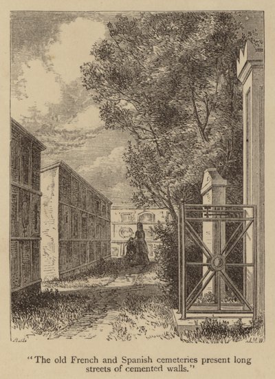 "Los antiguos cementerios franceses y españoles presentan largas calles de muros cementados" (grabado) de American School