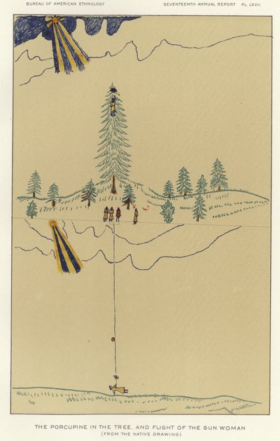 El puercoespín en el árbol y la huida de la mujer sol de American School